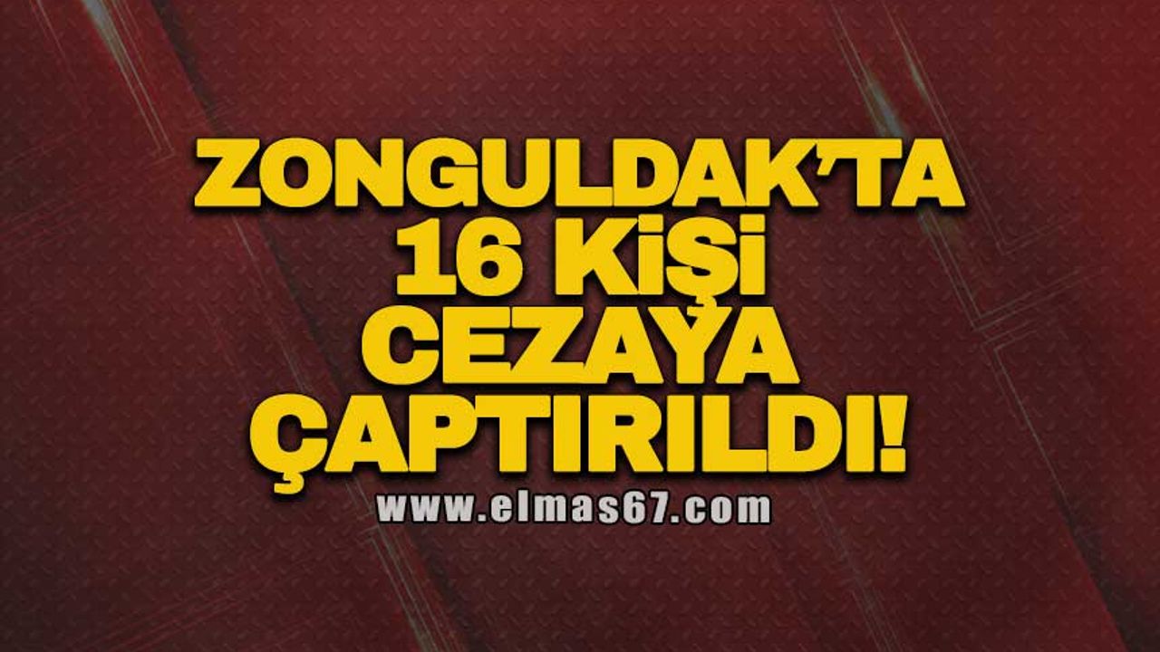 Zonguldak’ta 16 kişi cezaya çarptırıldı!