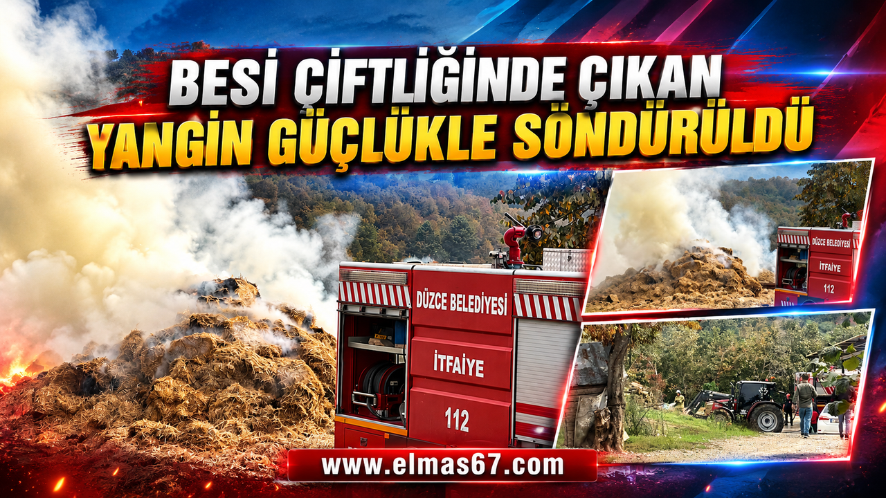 Besi çiftliğinde çıkan yangın güçlükle söndürüldü