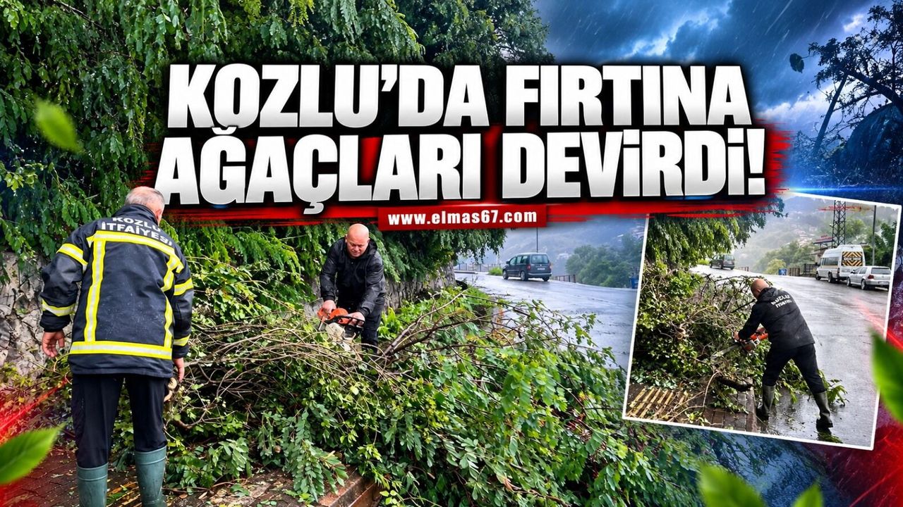 Kozlu’da sağanak yağış ve fırtına ağaçları devirdi!