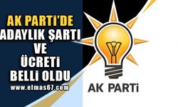 AK Parti'de adaylık şartı ve ücreti belli oldu