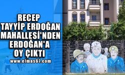 Recep Tayyip Erdoğan Mahallesi'nden Erdoğan'a oy çıktı