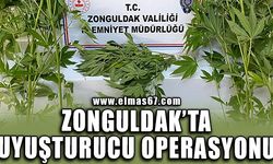 Zonguldak'ta uyuşturucu operasyonu!