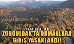 Zonguldak’ta ormanlara giriş yasaklandı!