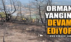 Bolu’da orman yangını devam ediyor