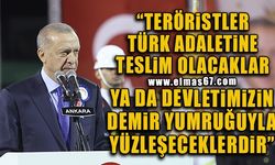 “Teröristler Türk adaletine teslim olacaklar ya da devletimizin demir yumruğuyla yüzleşeceklerdir”