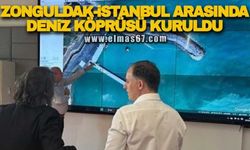 Zonguldak-İstanbul arasında deniz köprüsü kuruldu!