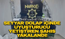 Seyyar dolap içinde özel düzenekle uyuşturucu yetiştiren şahıs yakalandı!