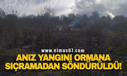 Anız yangını ormana sıçramadan söndürüldü!