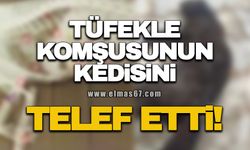 Tüfekle komşusunun kedisini telef etti, 'pişmanım' diye kendisini savundu!