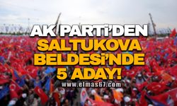 Ak Parti’den Saltukova Beldesi’nde 5 aday!