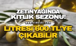 ZEYTİNYAĞINDA KITLIK SEZONU! LİTRE FİYATI 600 TL'YE ÇIKABİLİR