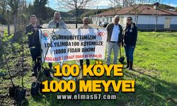 100 KÖYE 1000 MEYVE!