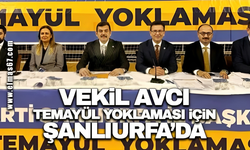 Vekil Avcı temayül yoklaması için Şanlıurfa'da!