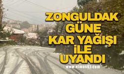 Zonguldak güne kar yağışı ile uyandı