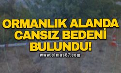 ORMANLIK ALANDA CANSIZ BEDENİ BULUNDU!