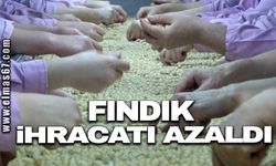 Fındık ihracatı azaldı!