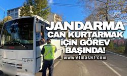 Jandarma can kurtarmak için görev başında!