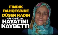 Fındık bahçesinde düşen kadın hayatını kaybetti