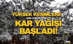 Yüksek kesimlere kar yağışı başladı