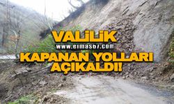 Valilik kapanan yolları açıkladı!