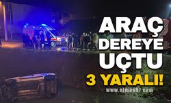 ARAÇ DEREYE UÇTU... 3 YARALI!