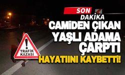 Camiden çıkan yaşlı adama çarptı... Hayatını kaybetti!