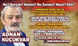 MİNİBÜSLERDE BALIK İSTİFİ YOLCULUK SEÇİLMİŞ VE ATANMIŞIN VEBALİ Mİ?..