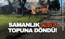 Samanlık alev topuna döndü!