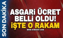 ASGARİ ÜCRET BELLİ OLDU… İŞTE O RAKAM!