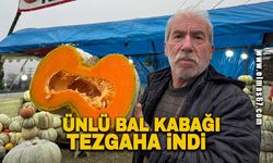 Ünlü bal kabağı tezgaha indi