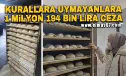 Kurallara uymayanlara 1 milyon 194 bin TL ceza