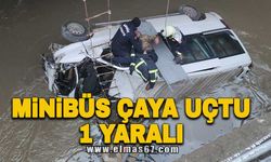 Minibüs çaya uçtu 1 yaralı