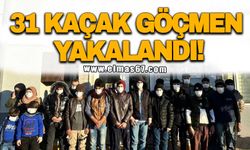 31 kaçak göçmen yakalandı