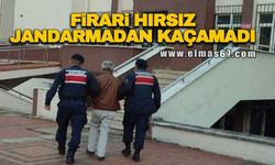 Firari hırsız jandarmadan kaçamadı