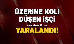 Üzerine koli düşen işçi yaralandı