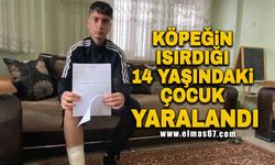 Köpeğin ısırdığı 14 yaşındaki çocuk yaralandı