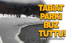 Tabiat Park'ı  buz tuttu!
