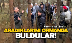 Aradıklarını ormanda buldular!