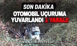 Otomobil uçuruma yuvarlandı: 1 yaralı