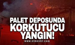 Palet deposunda korkutucu yangın