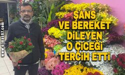 Şans ve bereket dileyenler o çiçeği tercih etti