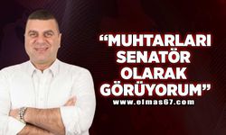 "Muhtarları senatör olarak görüyorum"