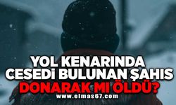 Yolun kenarında cesedi bulunan şahıs donarak mı öldü?