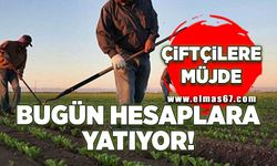 Çiftçilere müjde! Hesaplarına bugün yatıyor