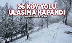 26 köy yolu kar nedeniyle kapalı