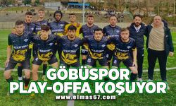 Göbüspor play-offa koşuyor