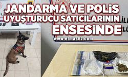 Zonguldak'ta jandarma ve polis uyuşturucu satıcılarının ensesinde