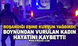 Boşandığı eşine kurşun yağdırdı: Boynundan vurulan kadın hayatını kaybetti!