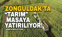 Zonguldak’ta ‘tarım’ masaya yatırılıyor!