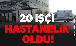 20 İşçi hastanelik oldu!